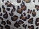 Anti glissement de nouveau de conception de léopard d'impression de plancher de tapis de maison rectangle de décoration
